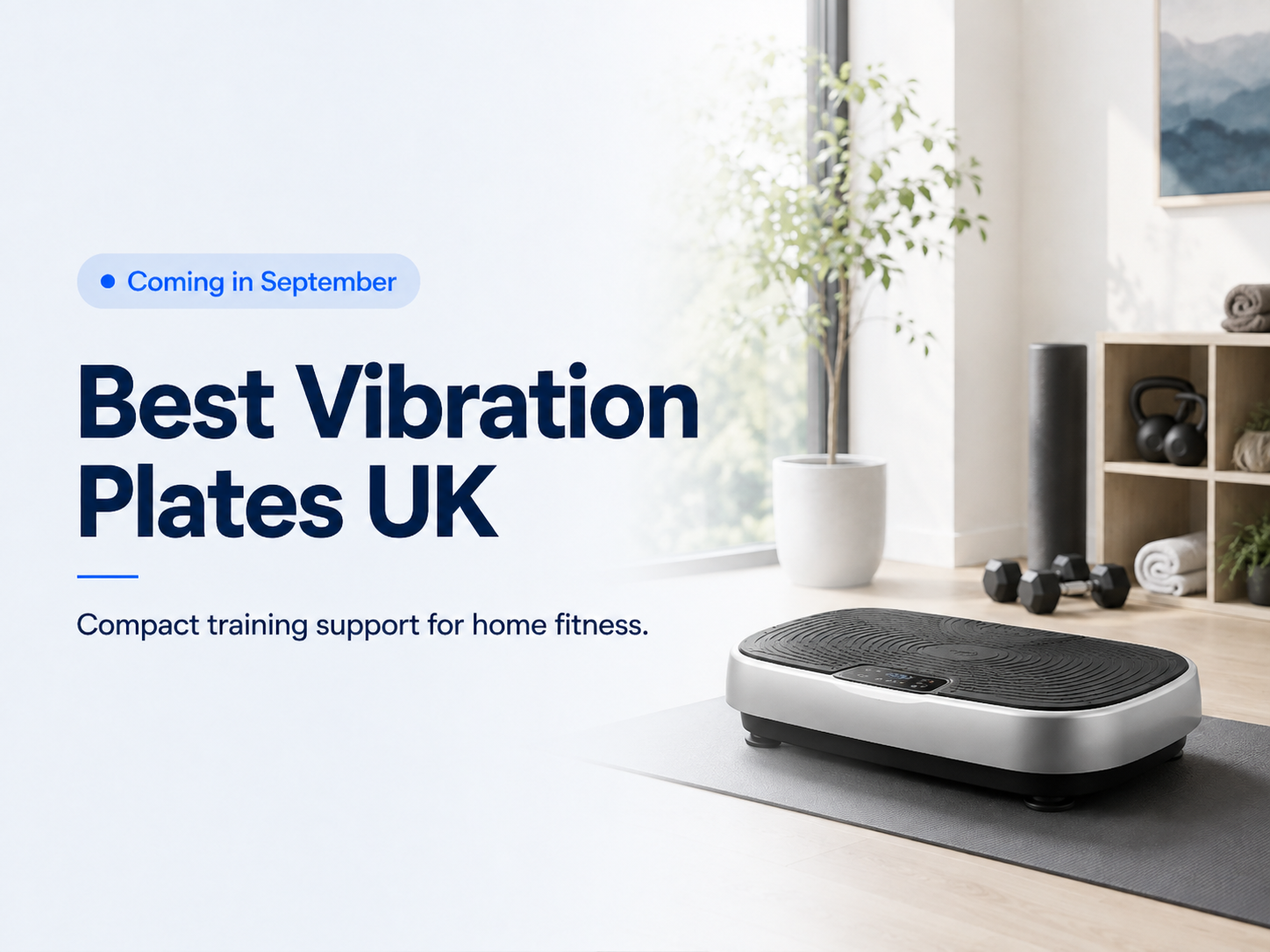 Best Vibration Plates UK 2026